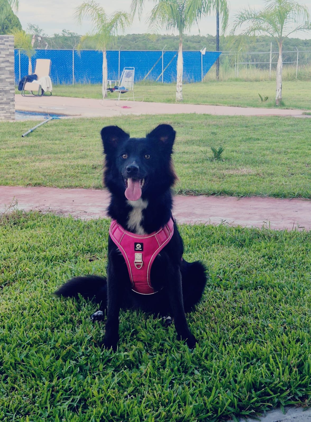 Luna 10 Meses