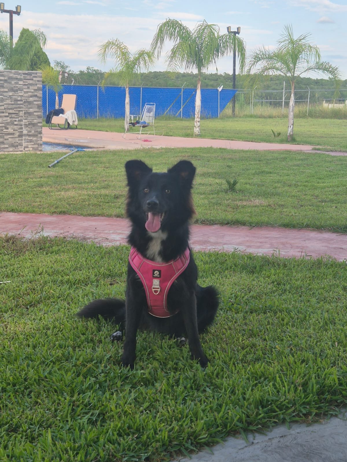 Luna