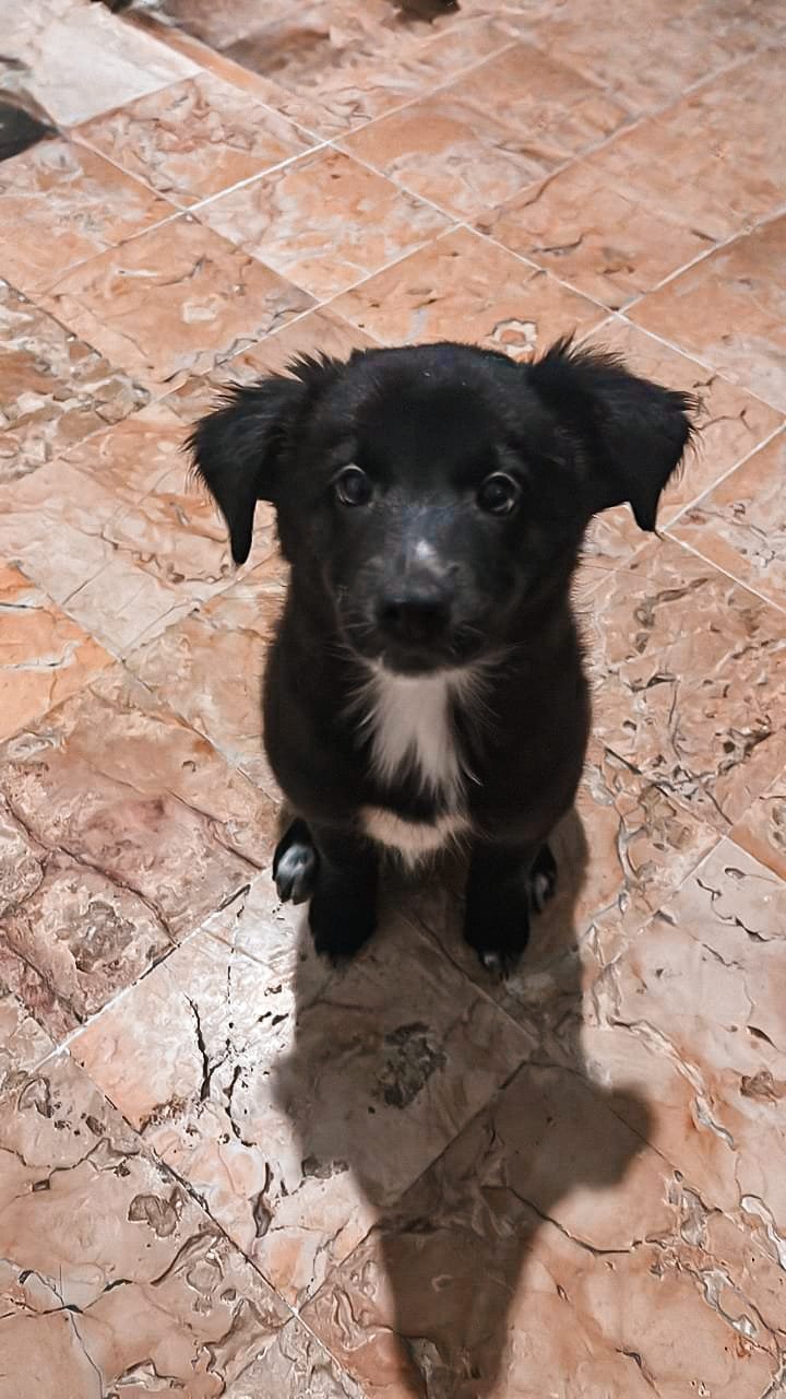 Luna 3 Meses